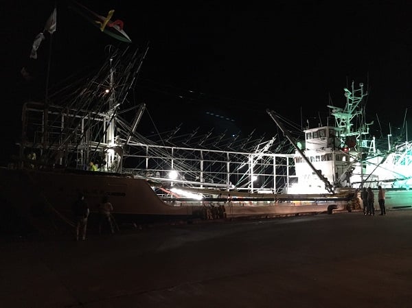 ライトアップするとなお格好良い。