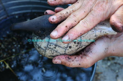 Aschereste werden entfernt