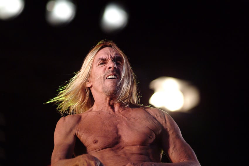 Yggy Pop, Les Vielles Charrues (2004)