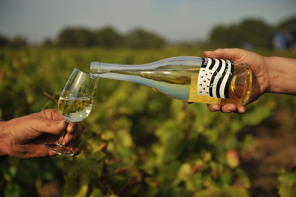 Vin blanc breton (Breizh gwin gwen) vignobles Chéneau à Monnières (44) - French Brittany white wine / L'Express (2009)