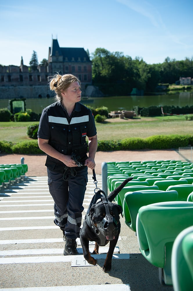 Sécuritas, sécurité privée - Security industry (2020)