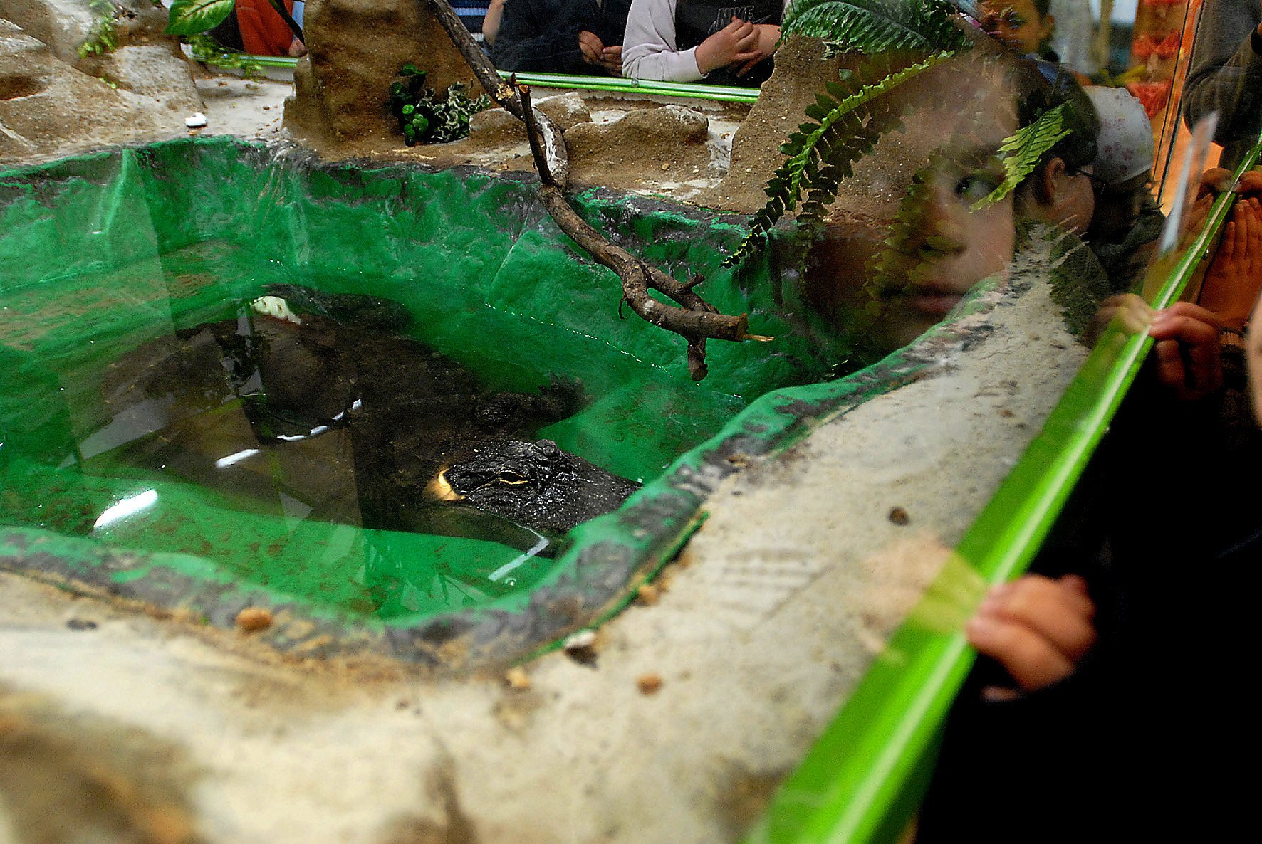 Association Inf' Faune, Nantes (2005)