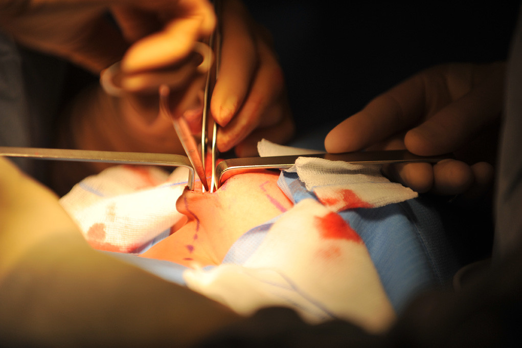 Chu de Nantes - Hospital (2011)