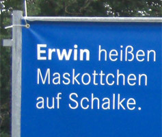 Wahlkampagne Landtag 