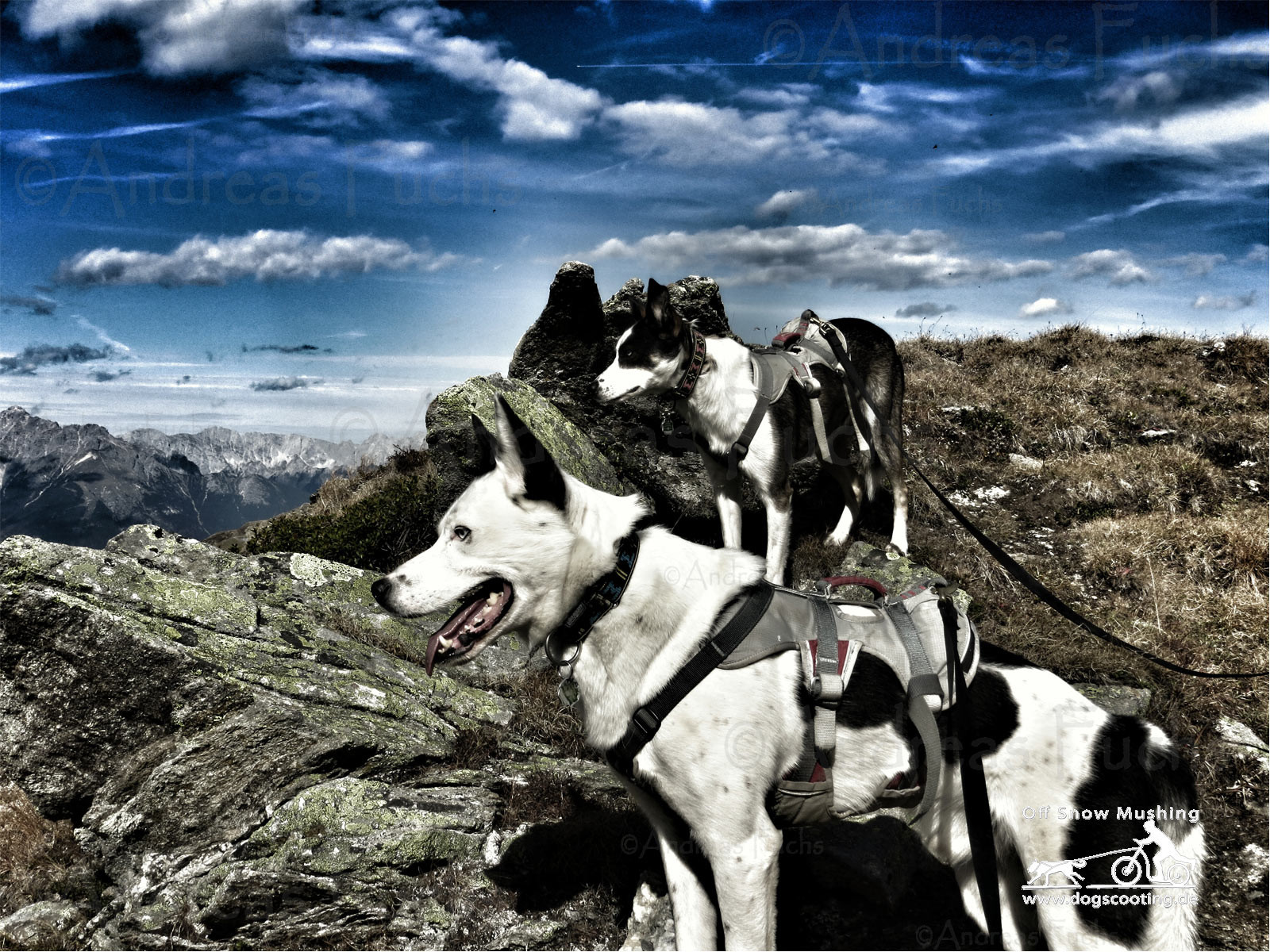 Auf dem Weg zum Gipfel