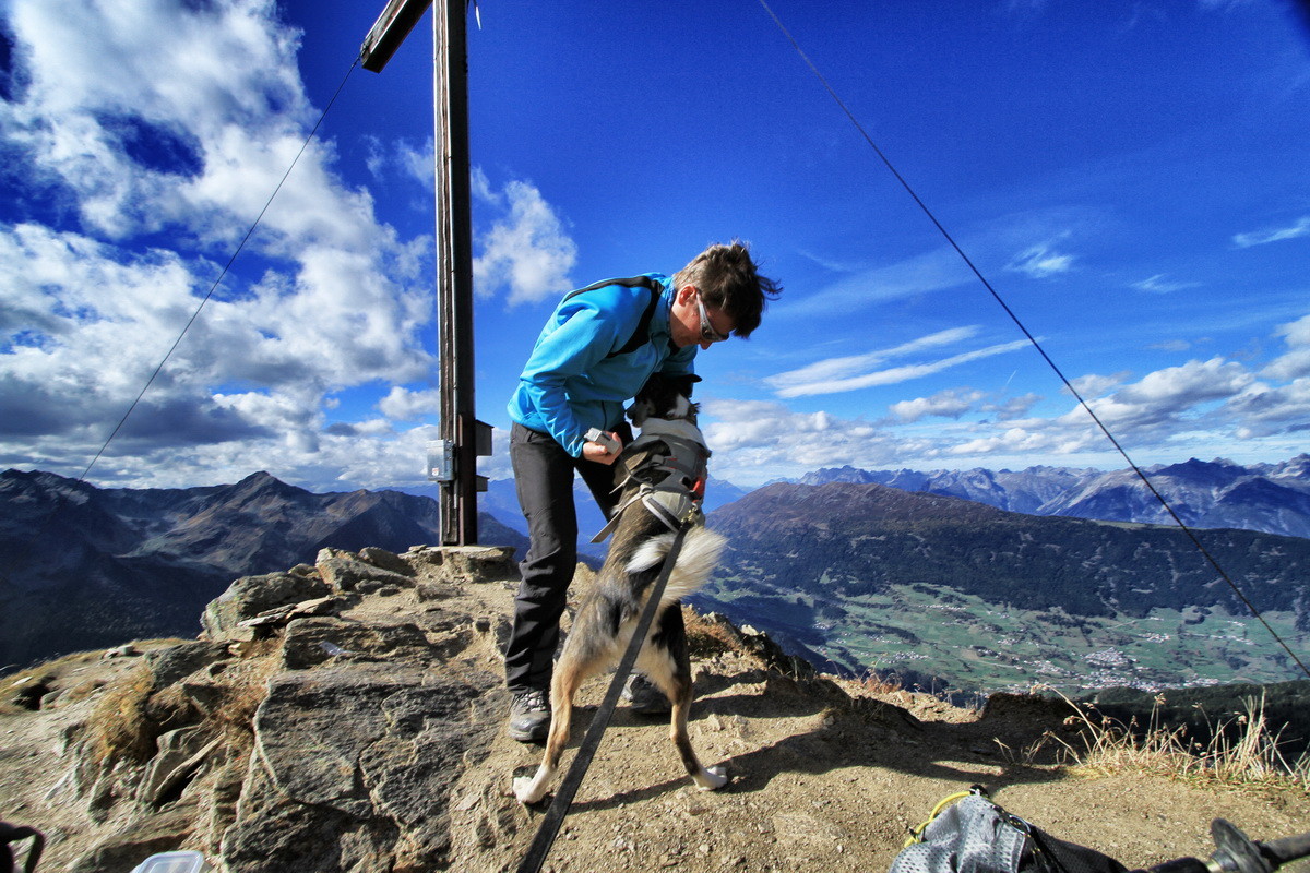Sitka lässt sich auf dem Gipfel herzen