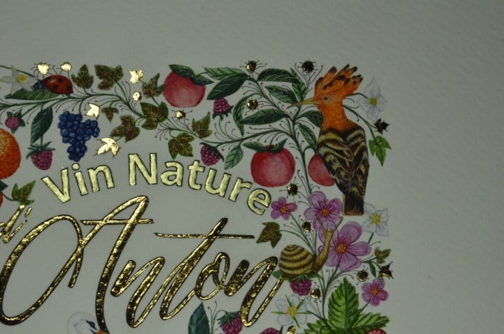 Enluminure création pour une étiquette de vin pour le domaine de l'Anchois réalisée par l'atelier sc-enluminure 
