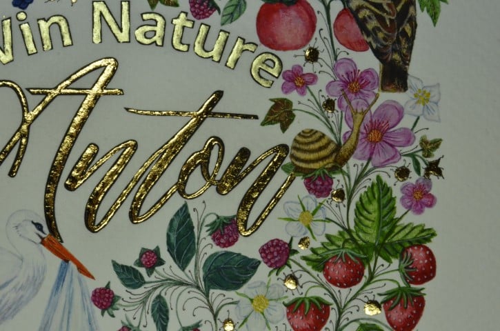 Enluminure création pour une étiquette de vin pour le domaine de l'Anchois réalisée par l'atelier sc-enluminure 