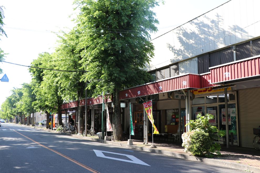 ホームページができました