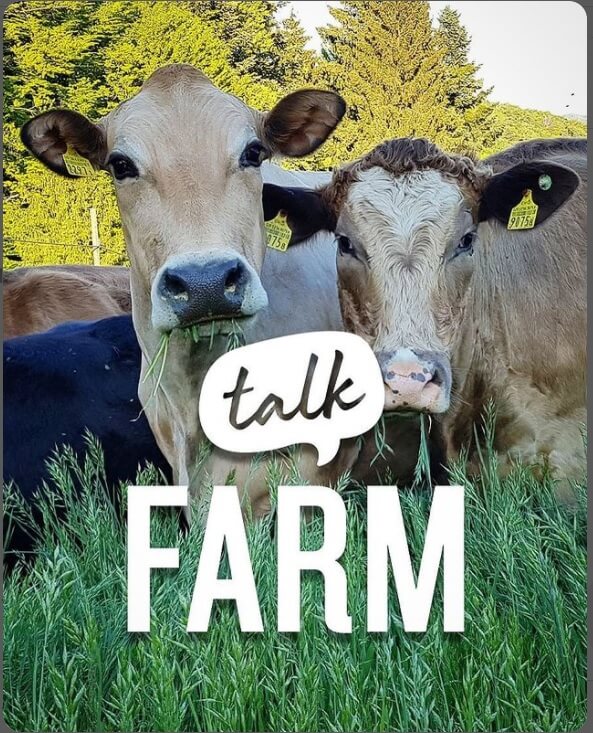 Farmtalk mit der Juckerfarm