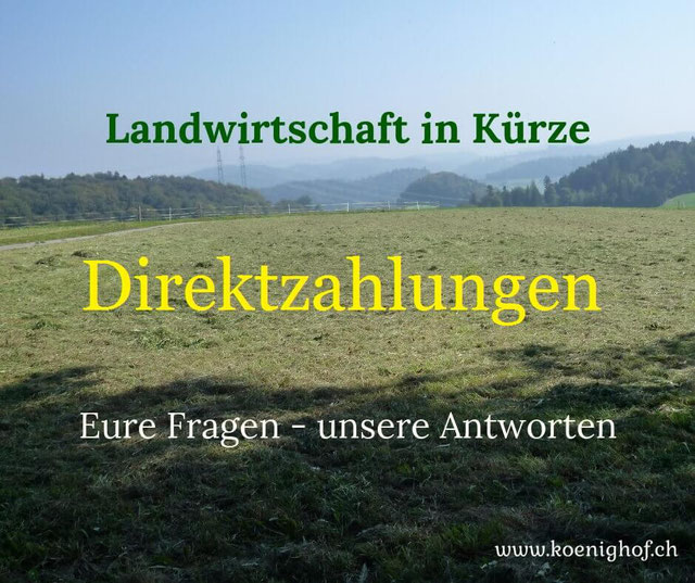 Eure Fragen - Subventionen vs. Direktzahlungen