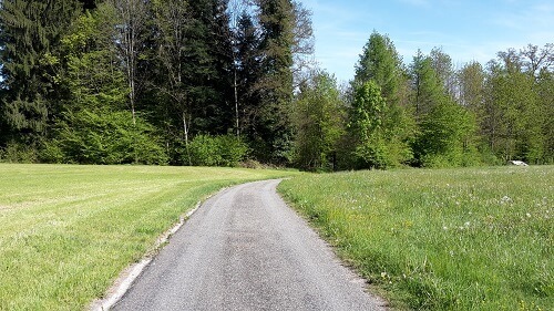 2019 das Jahr der Premieren und Rekorde oder auch Möglichkeiten und Grenzen