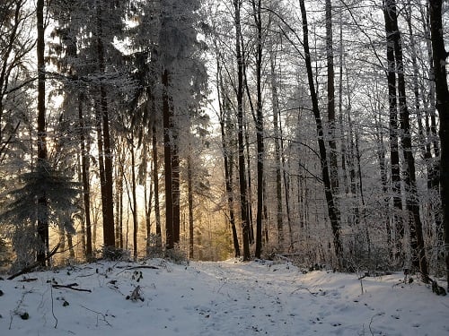 Ausblick ins 2020 und damit auch in das neue Jahrzehnt!