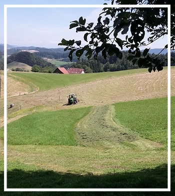 oekoheumahd_traktor_deutz