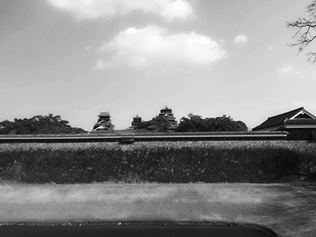 二の丸公園から見た重要文化財・宇土櫓と熊本城