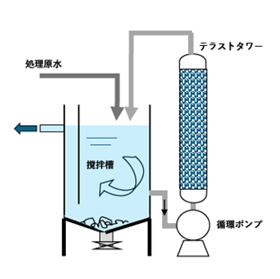 画像(4)処理プロセス
