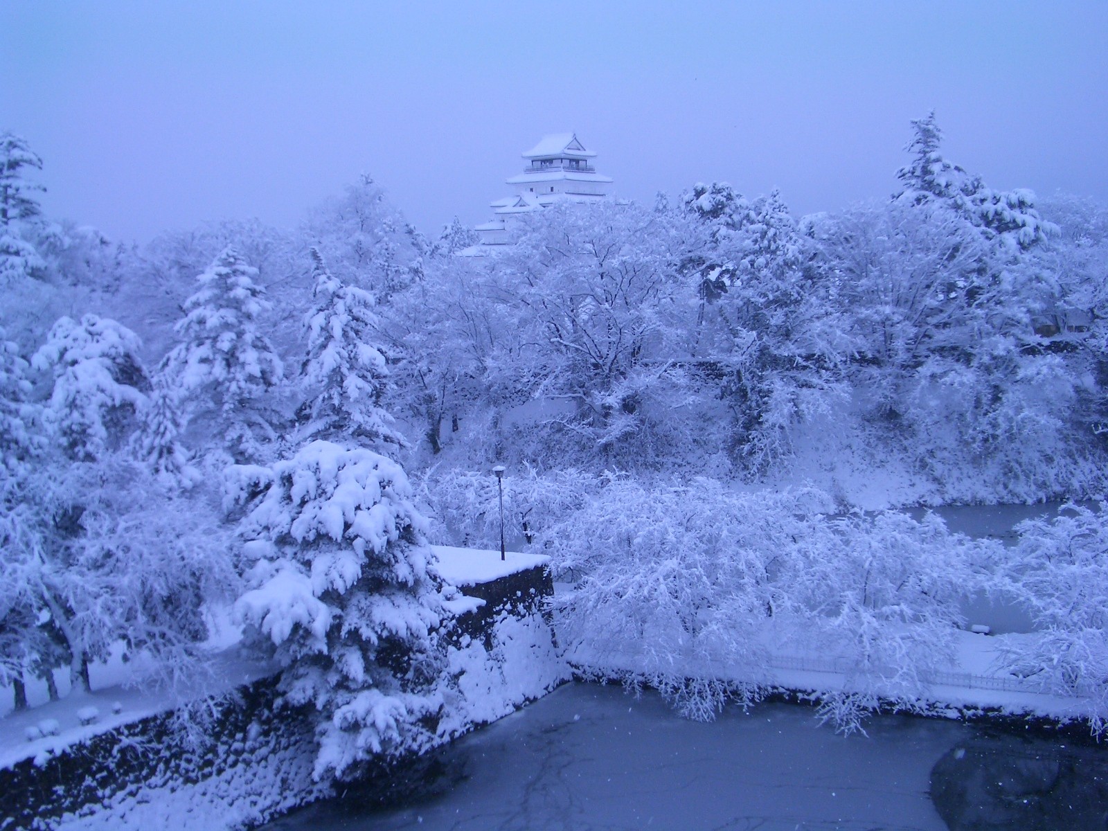 幻想的な銀世界。