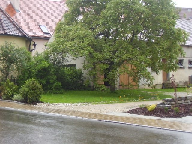 © Moni, Walnussbaum, Germering