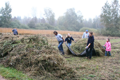 Echte Teamarbeit © V. Oswald
