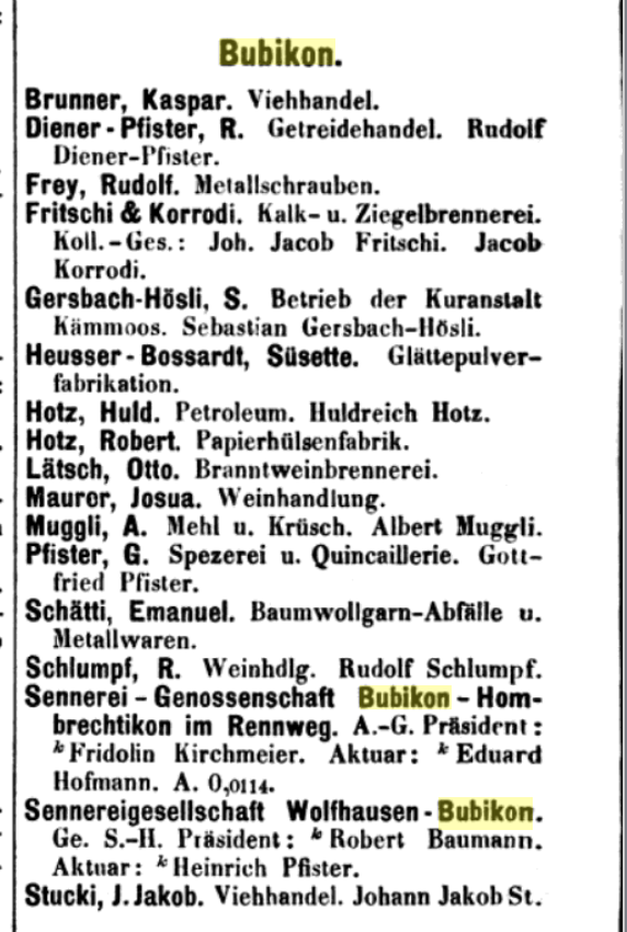 (Screenshot Orell-Füssli-Ragionenbuch 1894)