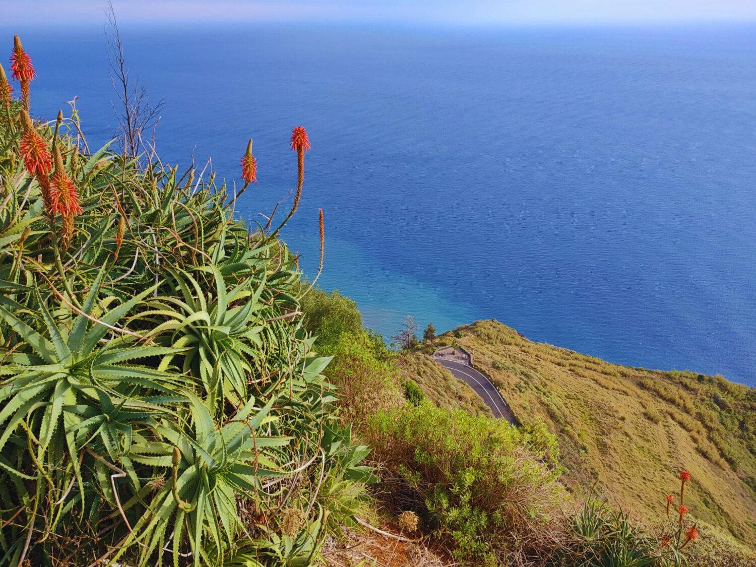 Madeira - die Perle im Atlantik