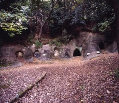 青葉区役所提供