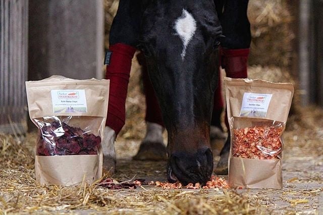 Hier seht ihr das Topmodel Abby (Stute von Julia Bielefeld) beim Fotoshooting. Mit in Szene gesetztem Schlafzimmerblick knuspert sie ganz lässig unsere Karottenchips. Foto: Alexandra Strunk @alexandra.strunk.fotografie 