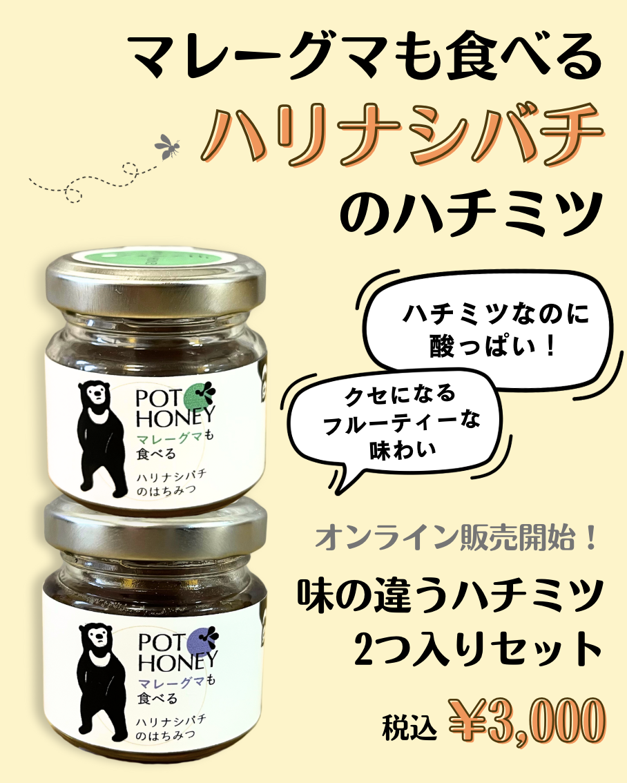 ハリナシバチのハチミツ 販売開始！
