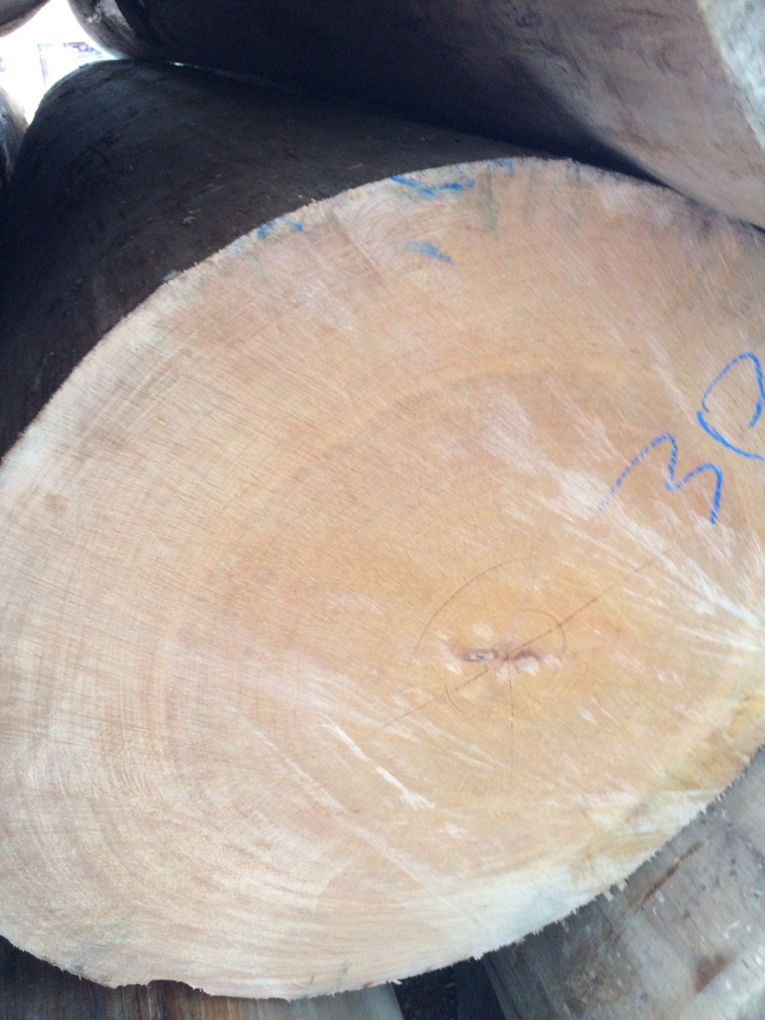 サラワクメラピー