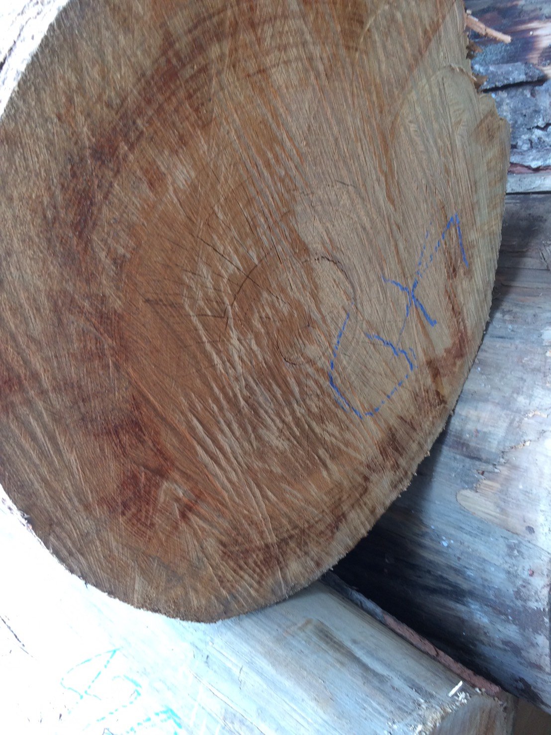 サラワクメラピー