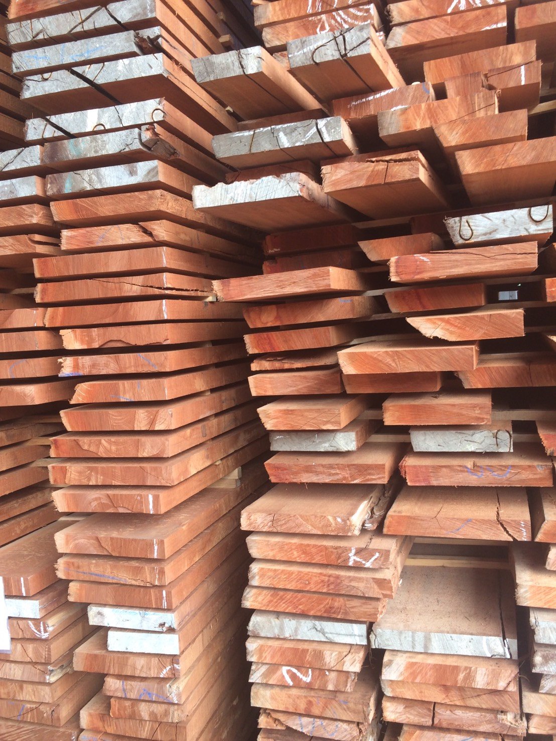 サラワクメラピー