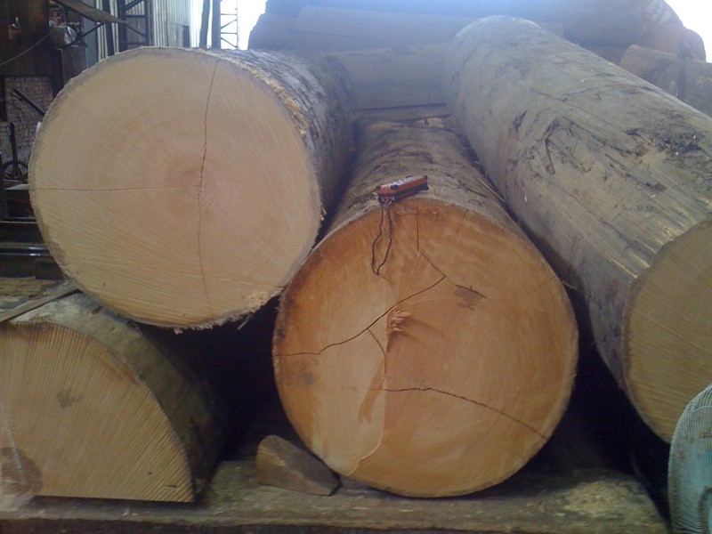 サラワクメラピー　丸太