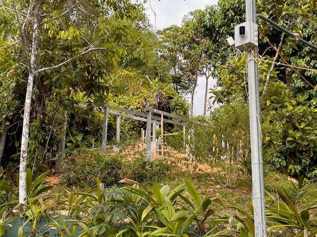 January 2024 - the frame for the solar panels is taking shape