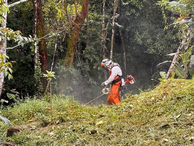 December 2023 - our gardener Jairo has to mow around the house every 2 months; soon the jungle will be planted again