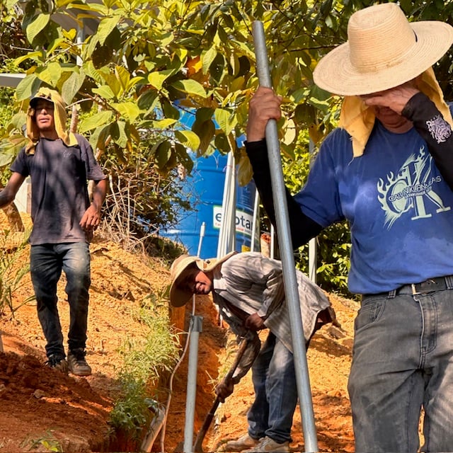 January 2024 - the trench with the water pipes to the water tank are dug again by hand