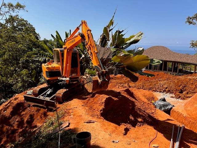 January 2024 - Another bulldozer prepares the terrain for the jungle garden