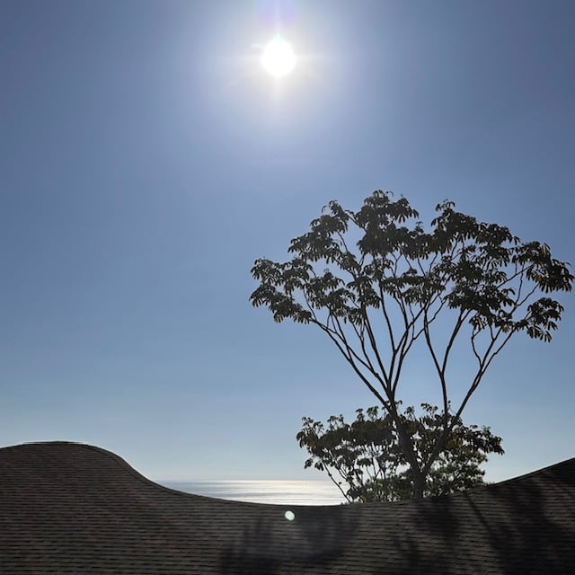 January 2024 - looking forward to enjoy after completion of the works