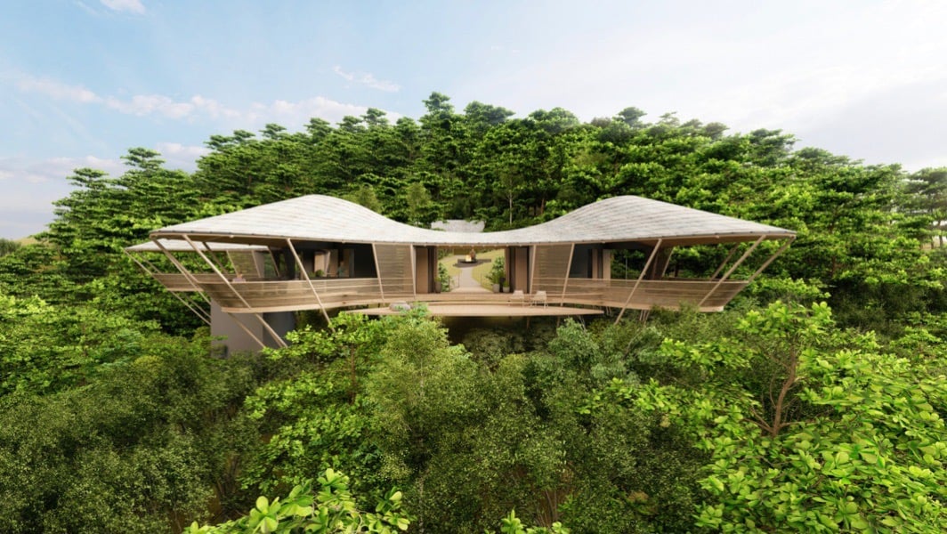 Building a house in the jungle