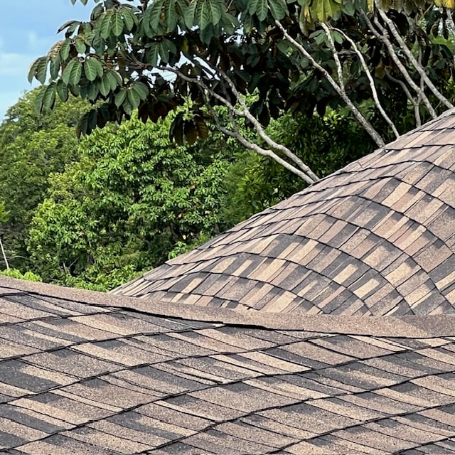 August 2023 - the organic architecture leads to exciting roof views