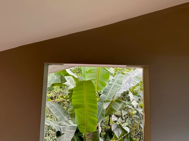 December 2023 - the difference colors make!