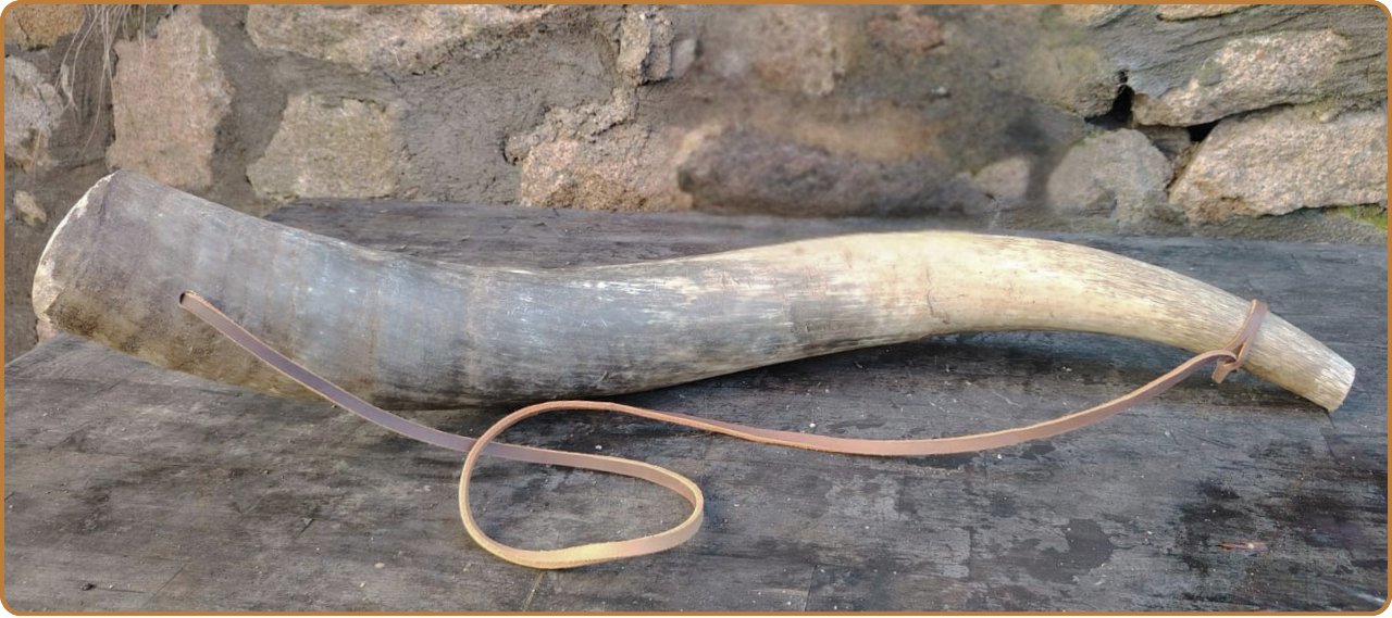 Hornvald - Olifant XXL 