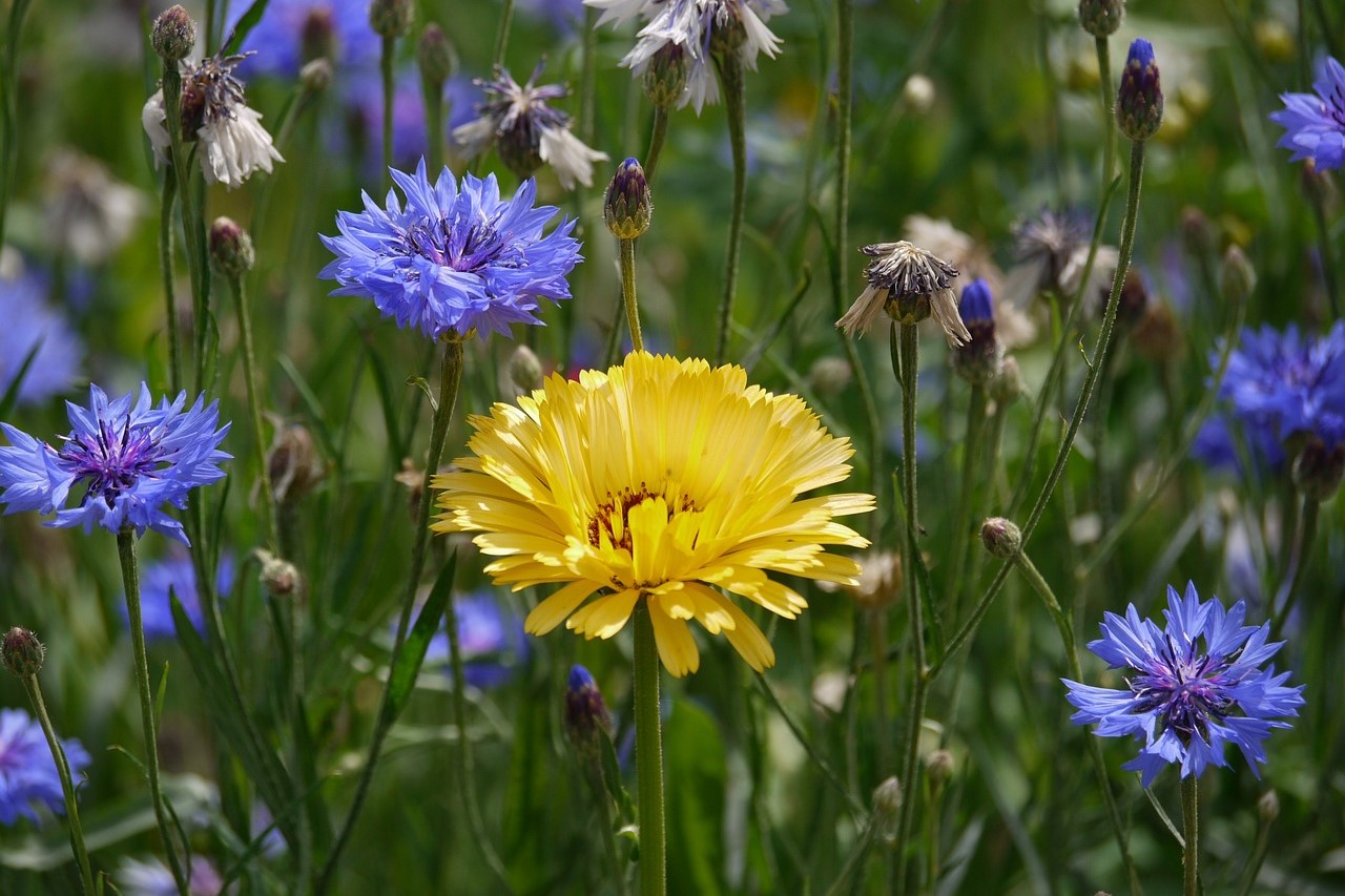 Jedes kleine Bisschen anders zählt - Auftakt