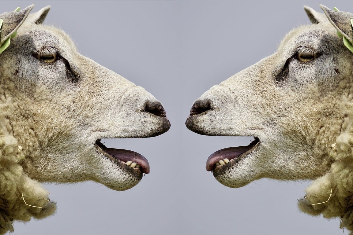 Mensch, wir müssen reden!