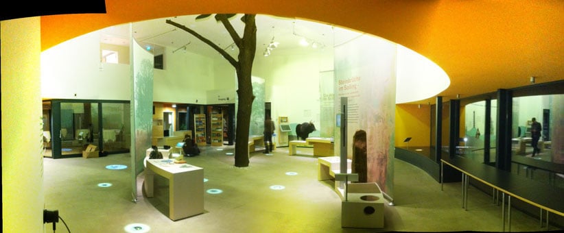 Wildparkhaus Neuhaus im Solling: Die Eiche trägt das Dach