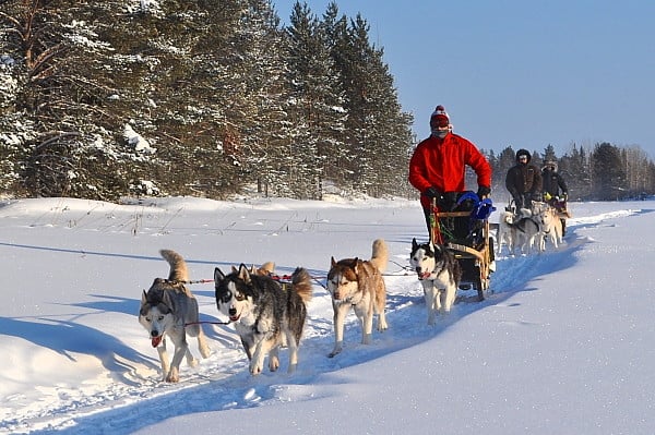 Hundspannsturer i Lappland