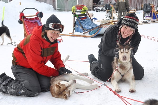Streuicheleinheiten nach der Huskytour