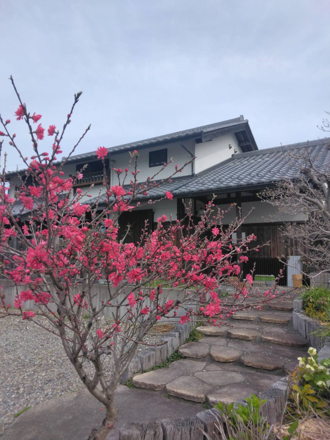 木の家さいとうの庭『花リレー』