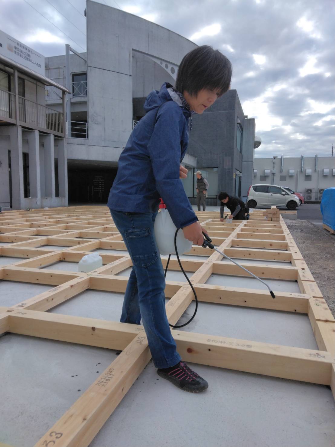 ホウ酸でシロアリ対策