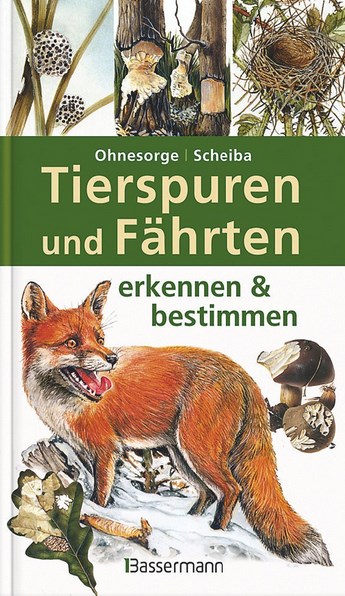 Tierspuren und Fährten