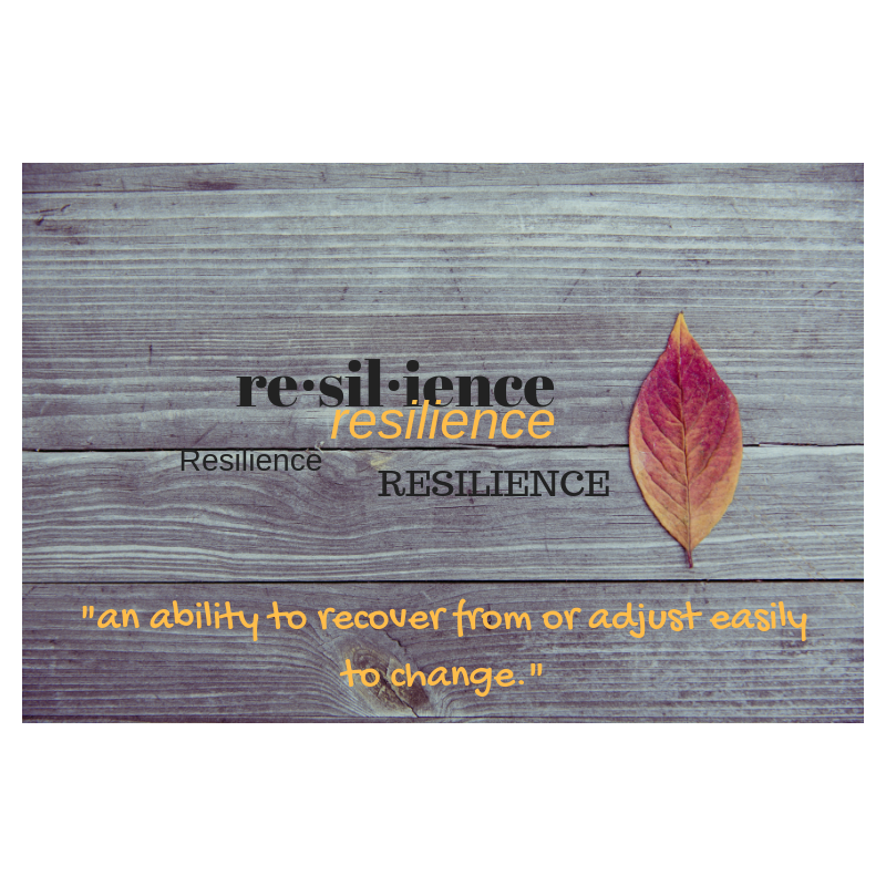 How to leverage the festive fall season to build health and resilience